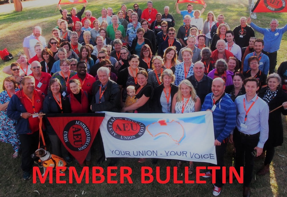 15 167.member bulletin graphic.jpg